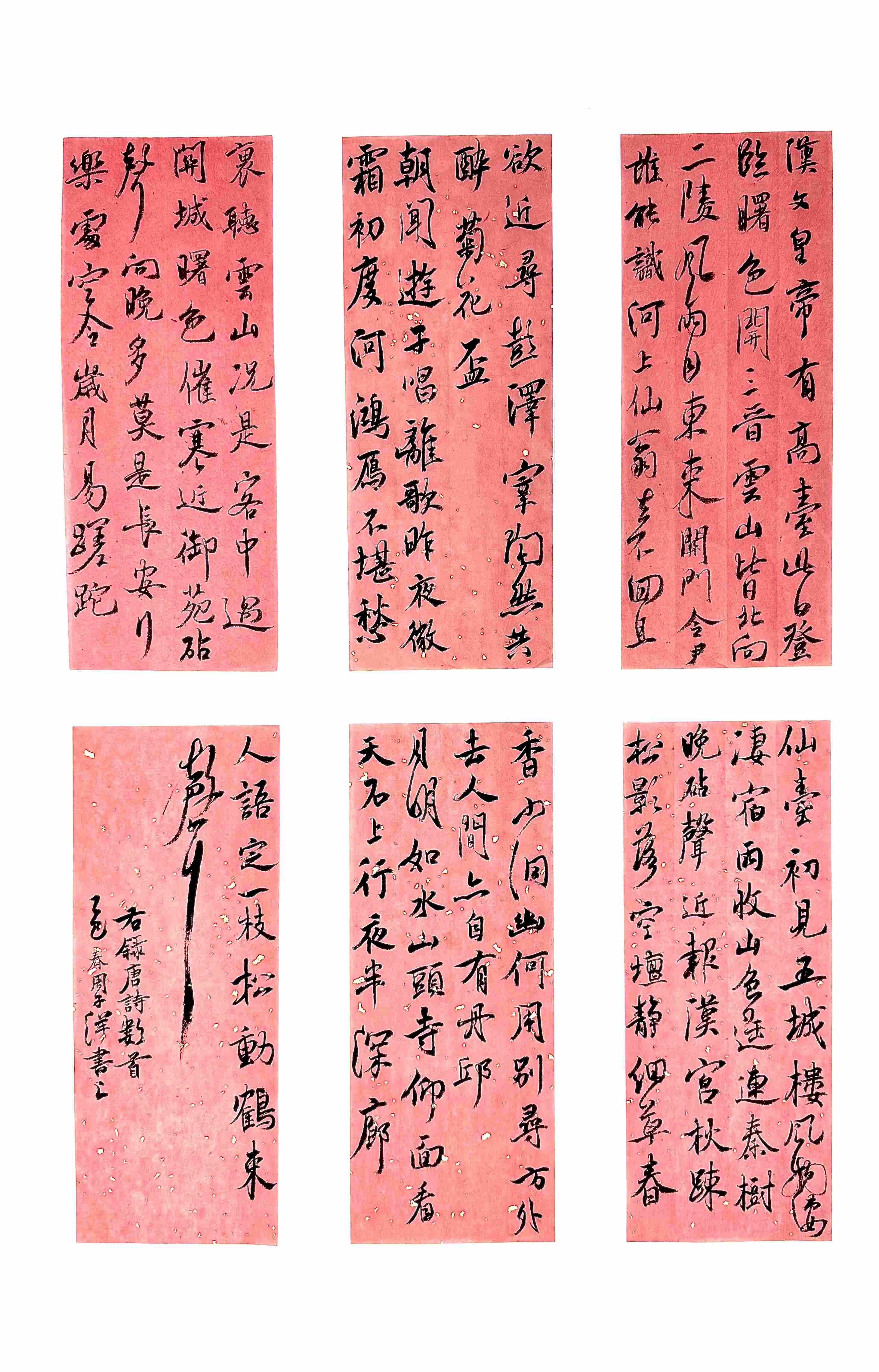 周子洋